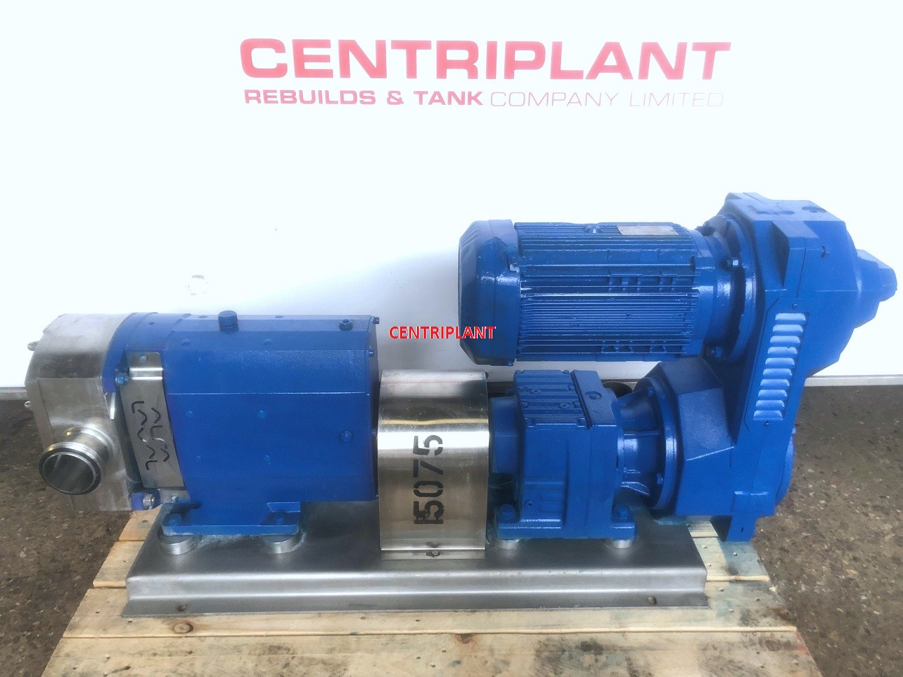15075 - ALFA LAVAL STAINLESS STEEL LOBE PUMP 5.5 KW 3in  RJT CONNECTIONS